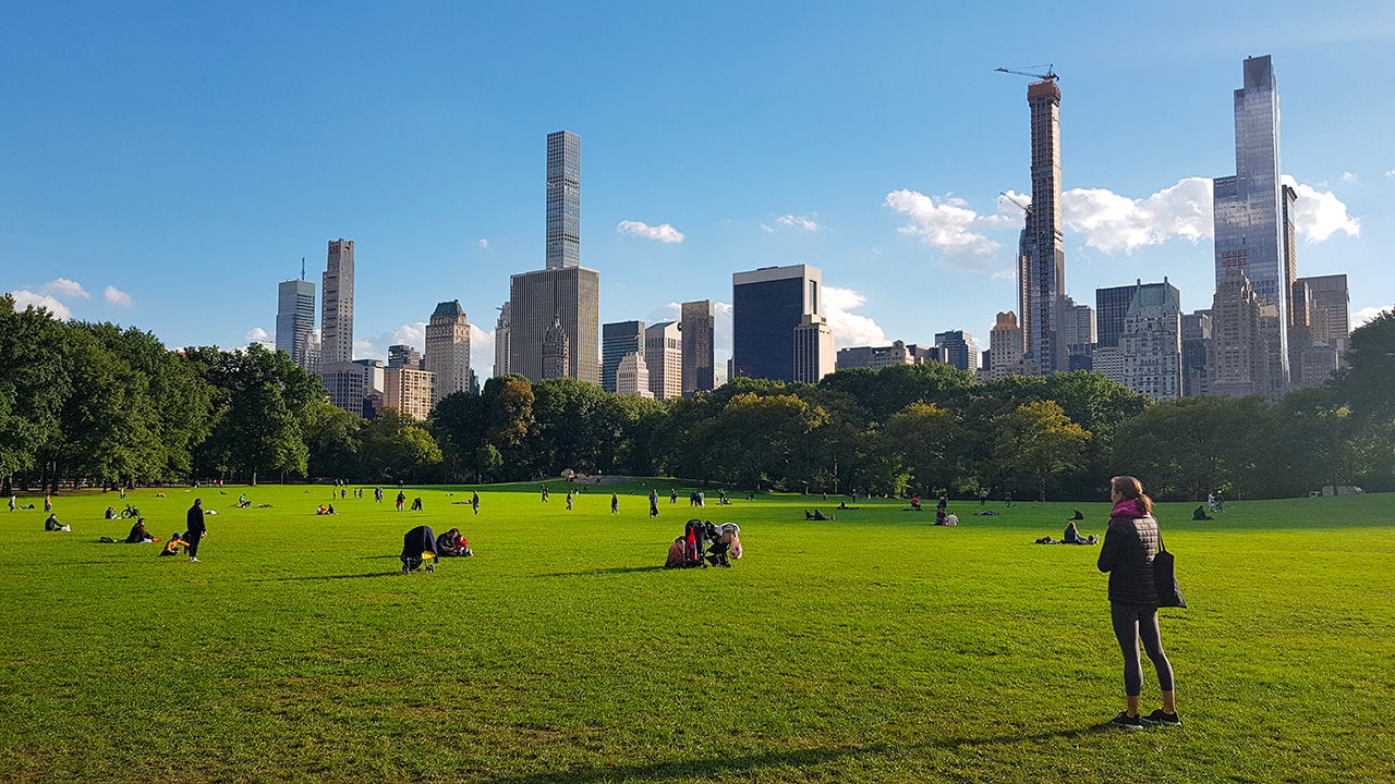 Central Park New York mars
Credit Photo vinnikava via Envato