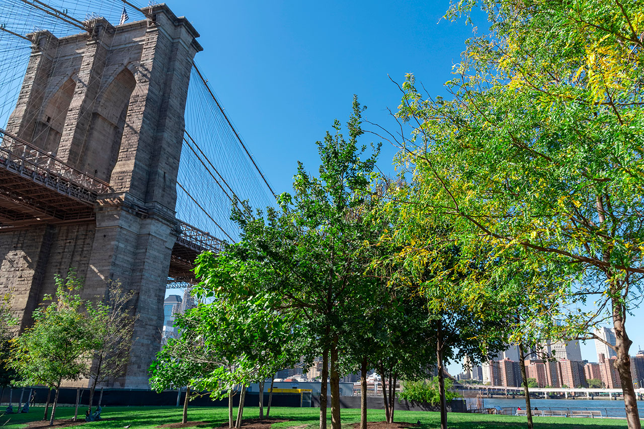 DUMBO Brooklyn Bridge New York,
Credit Photo RLTheis via Envato