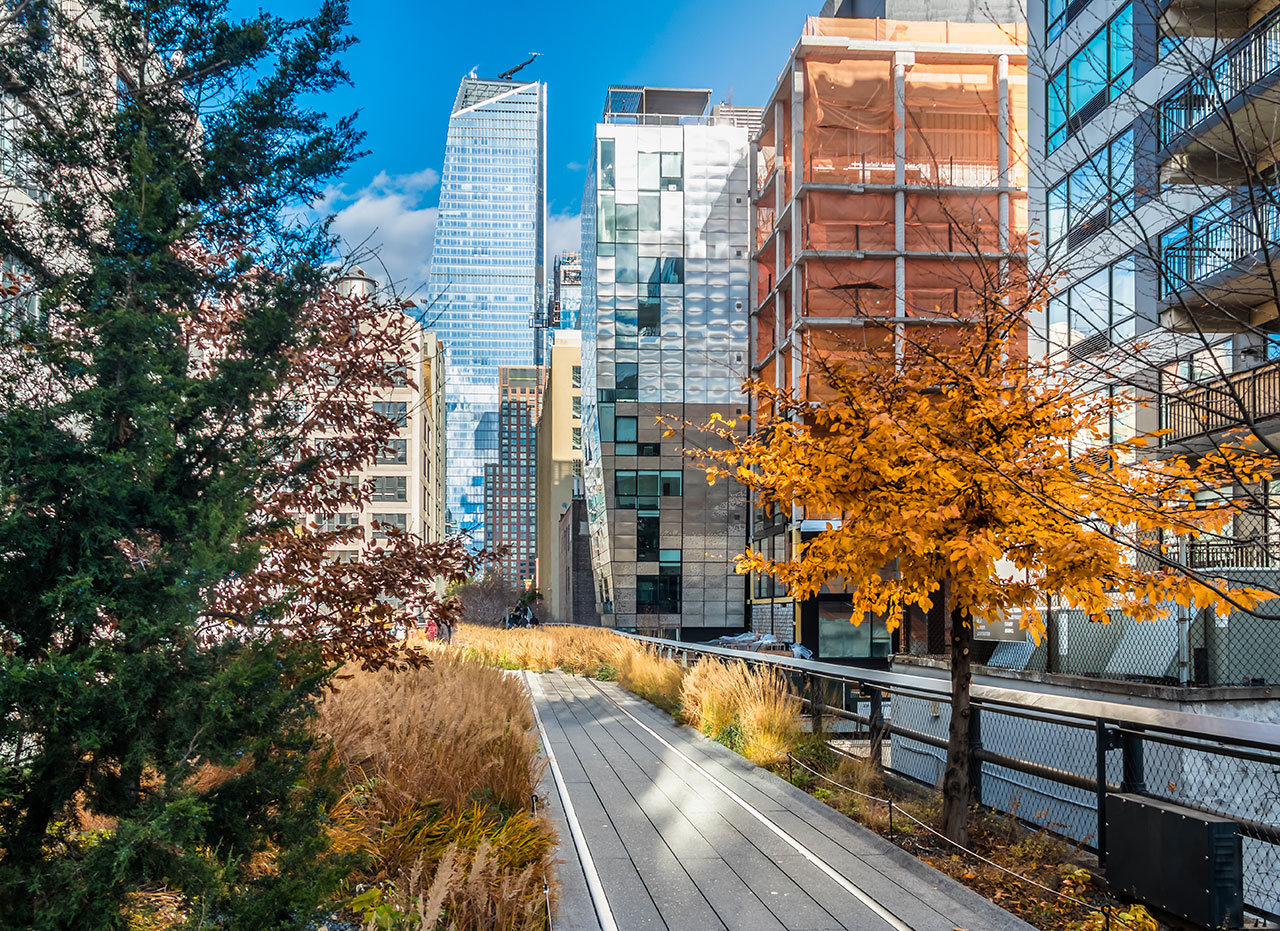 High Line Park New York,
Credit Photo diegograndi via Envato