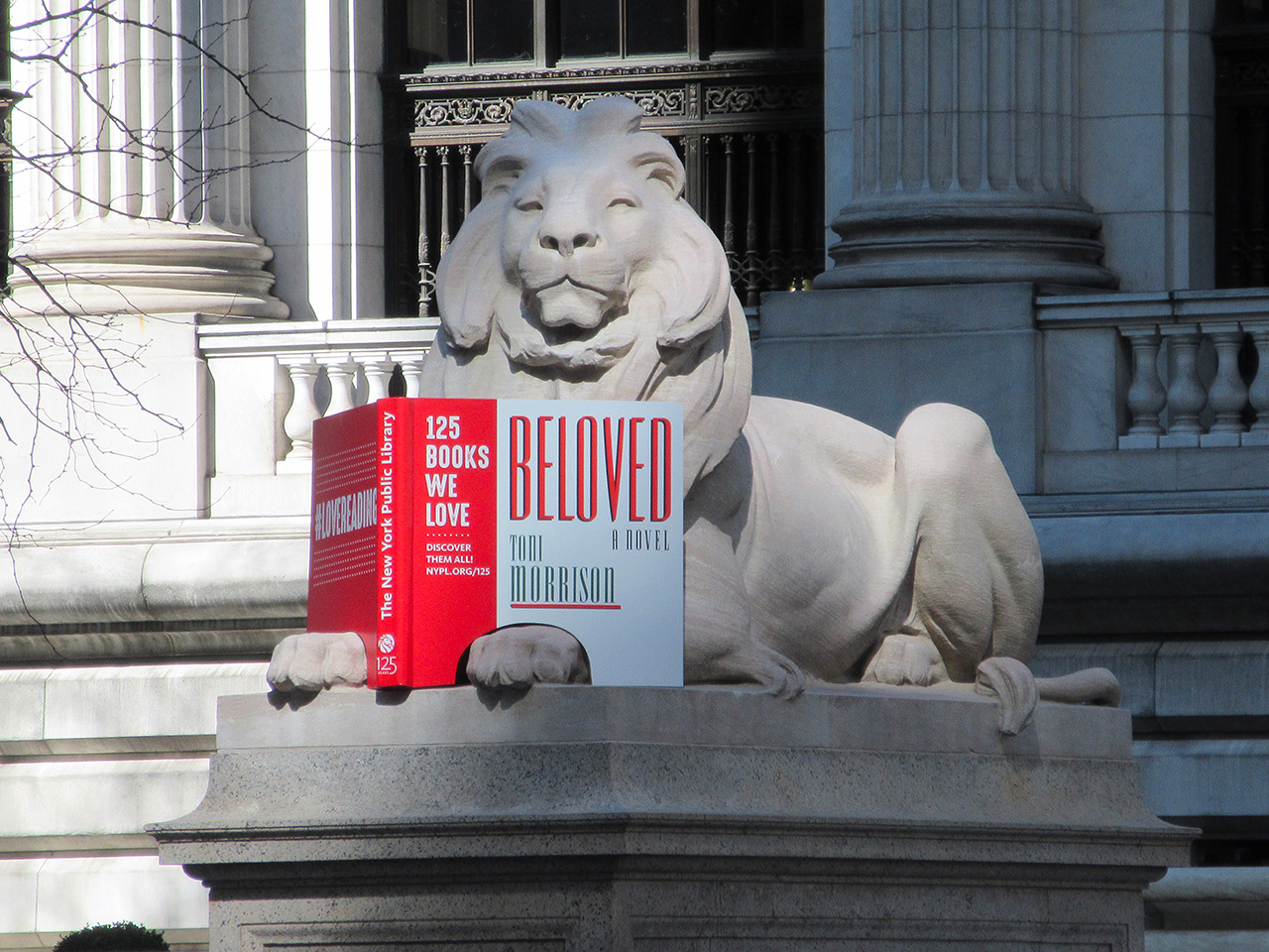 New York Public Library lion,
Credit Photo Brecht bug via Flickr