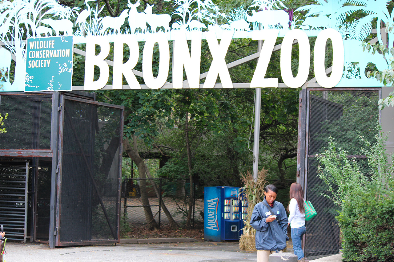 zoo bronx new york entree